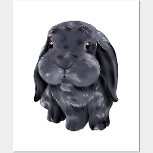 Blue Holland Lop Rabbit | Bunniesmee Posters and Art